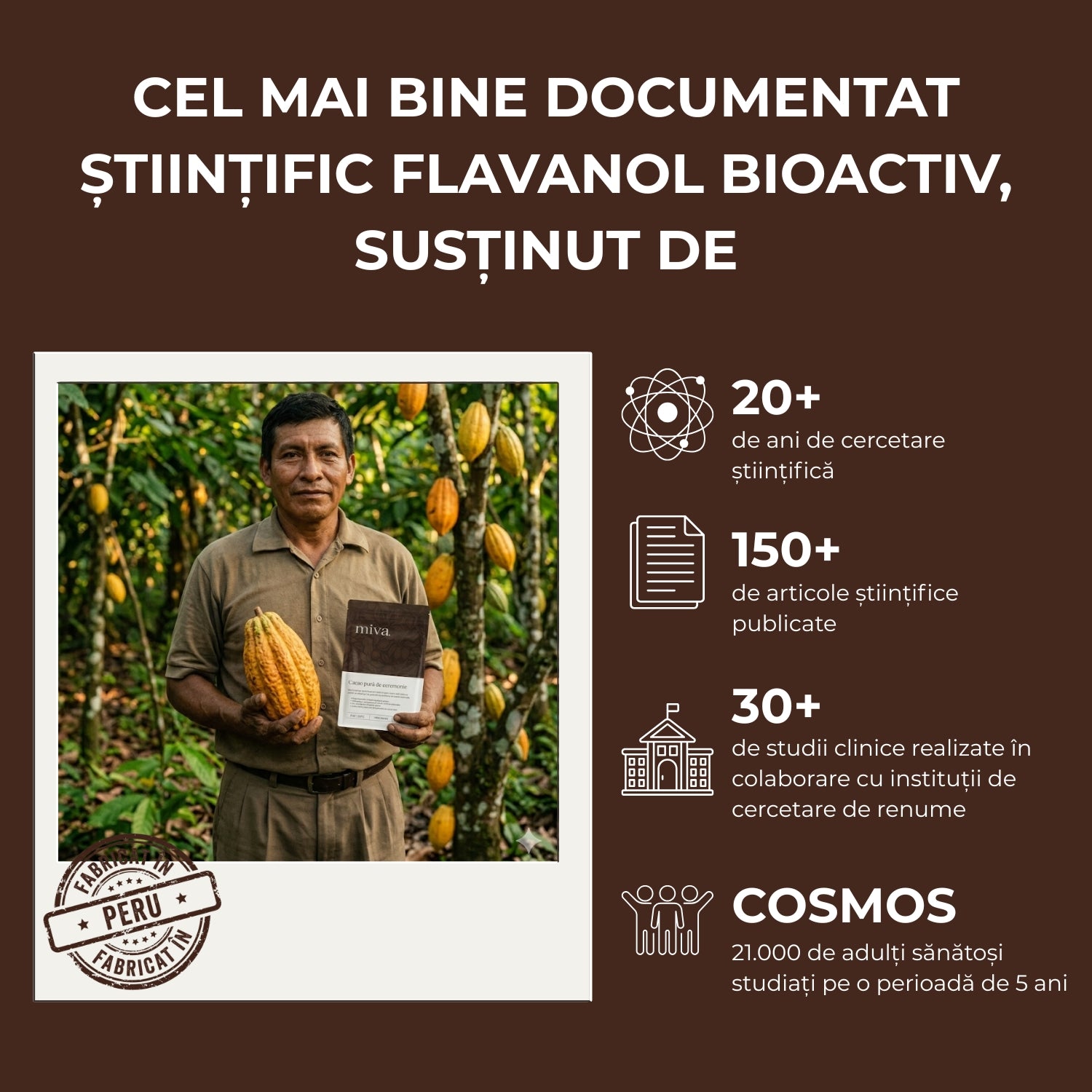 Cacao pură de ceremonie - 600mg de flavanol