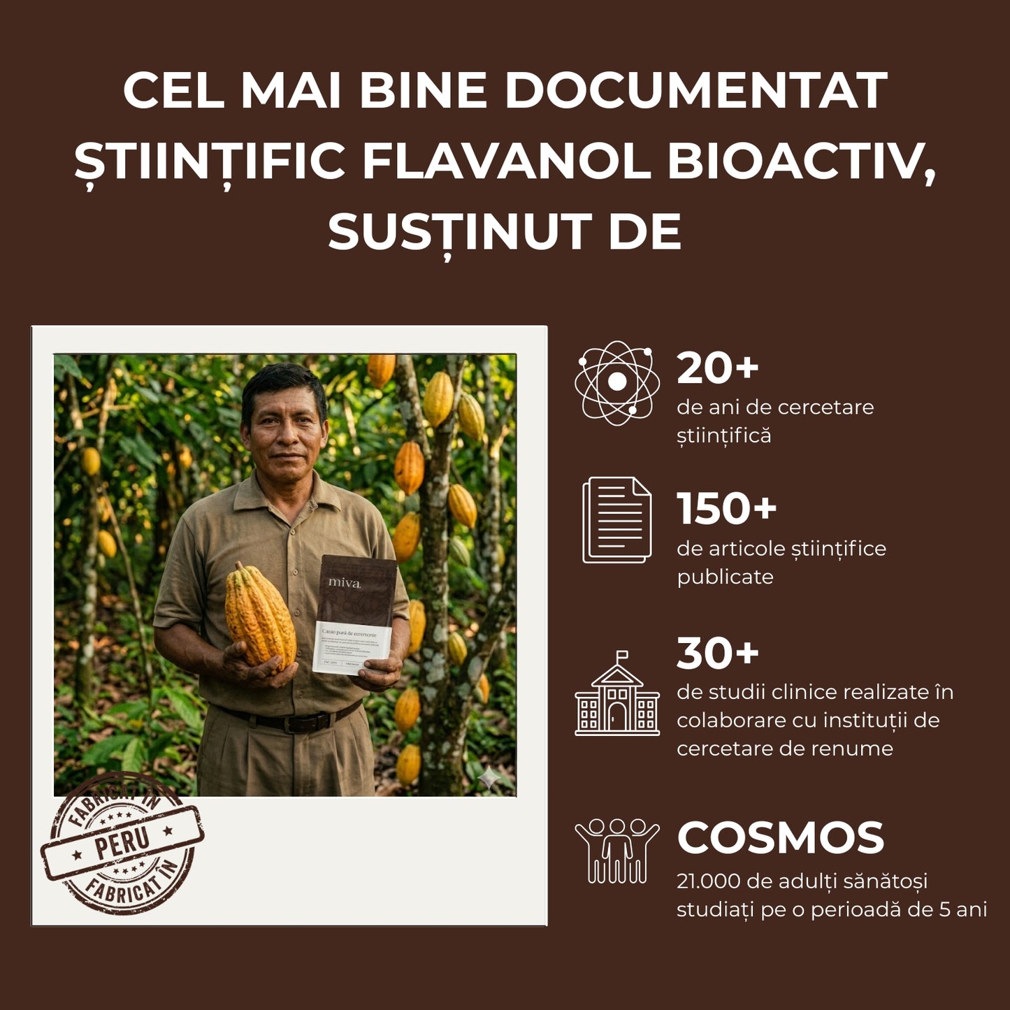 Cacao pură de ceremonie - 600mg de flavanol